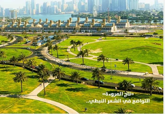  'الحيرة من الشارقة'