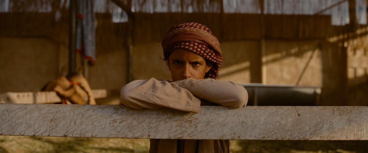 'هجان'