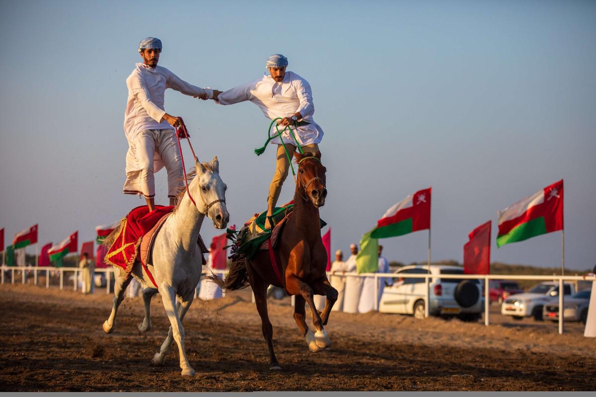 سباقات عرضة الخيل