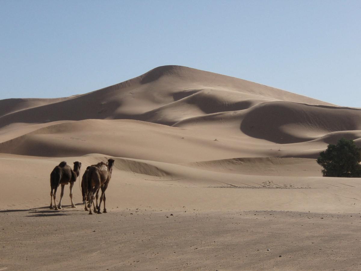 كثبان 'لالا لالِيا'
