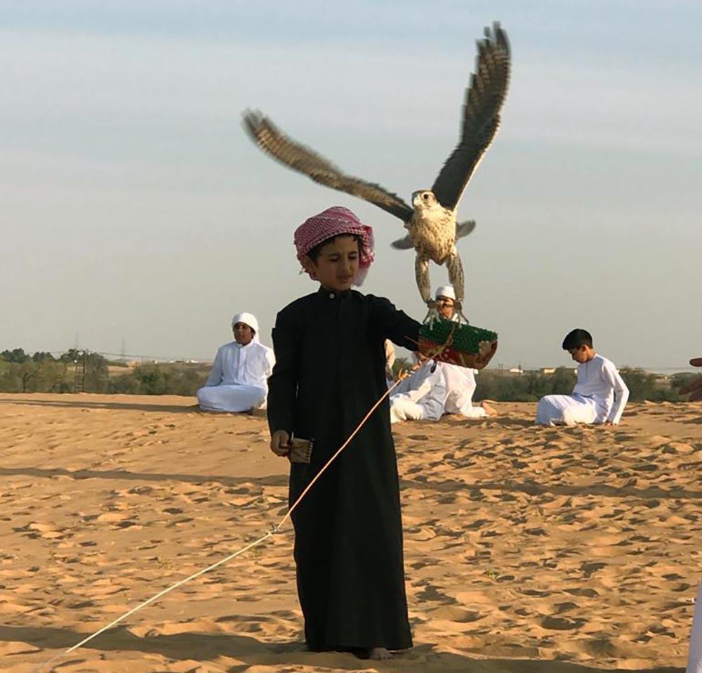 Falconry in the UAE preserved throughout generations