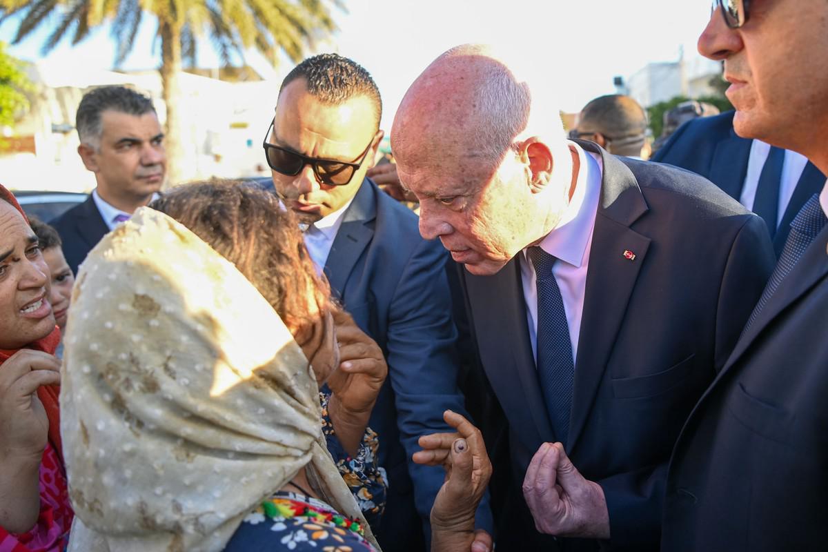 قيس سعيد يشدد على مواصلة مسيرة النضال في معركة التحرير الوطنية