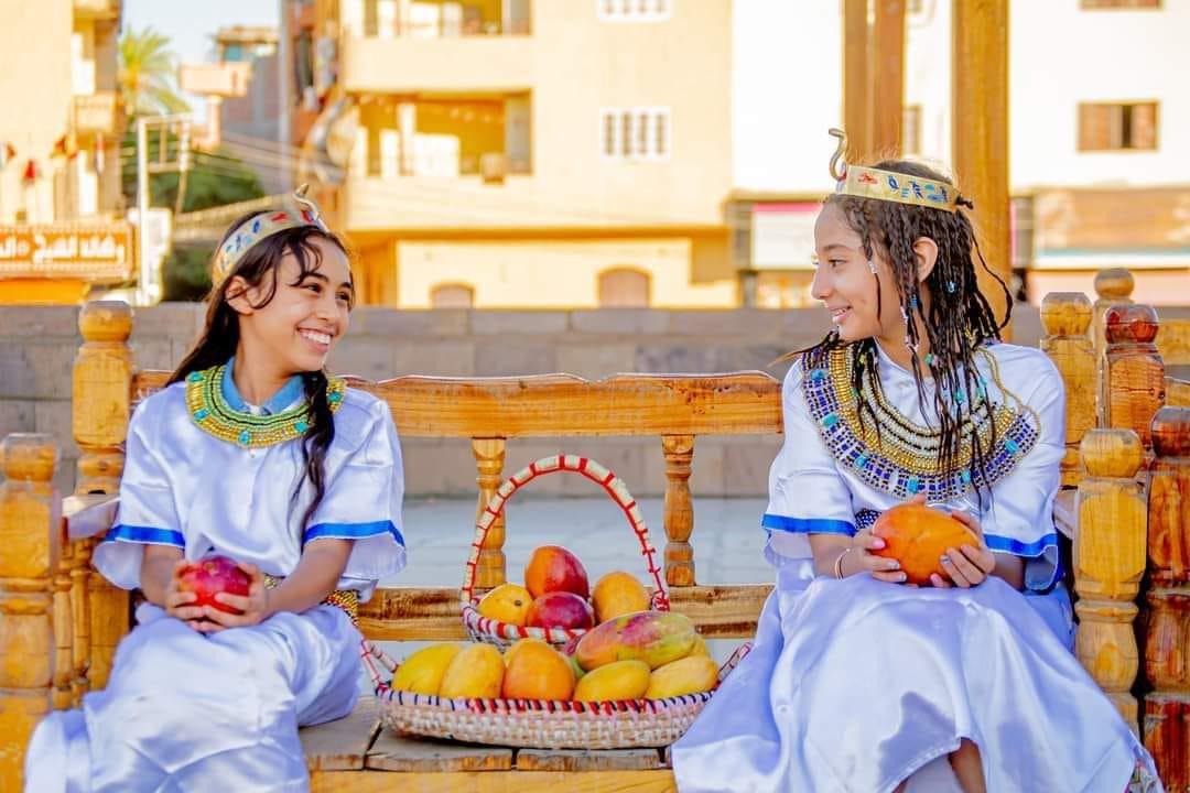 مهرجان الأقصر الأول للمانجو