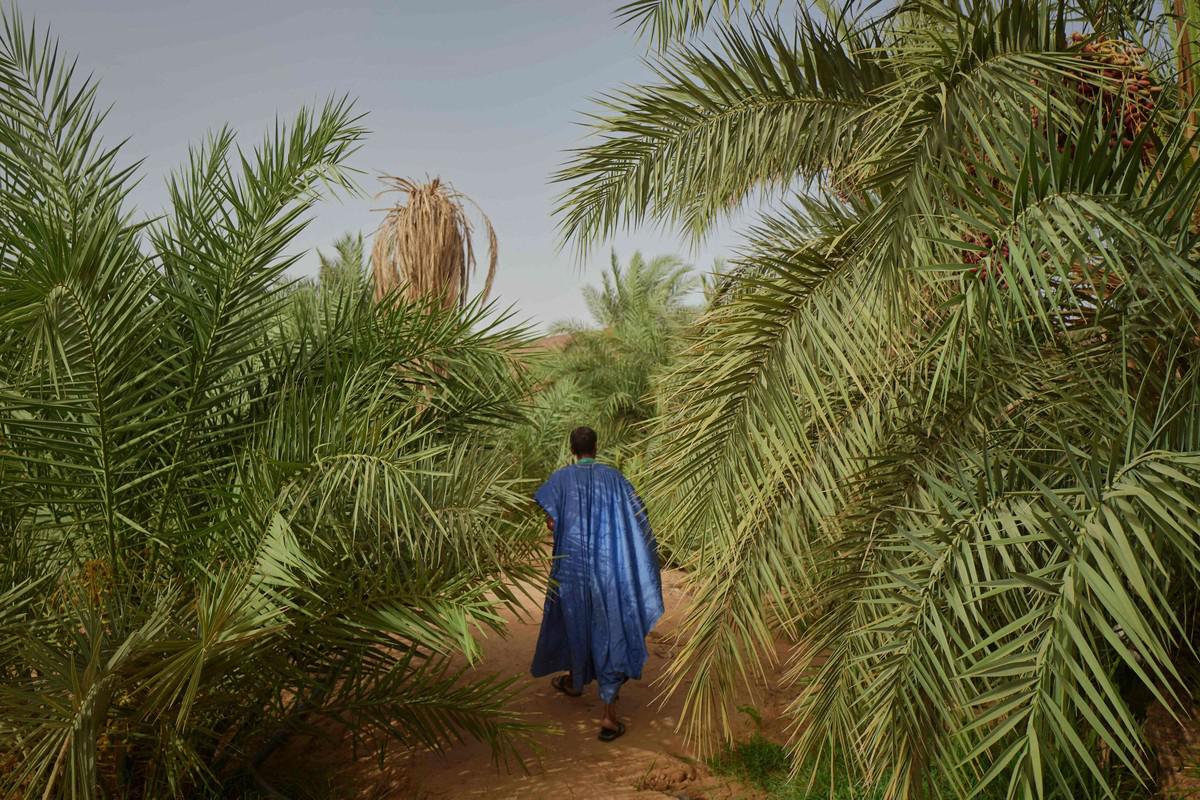 واحة