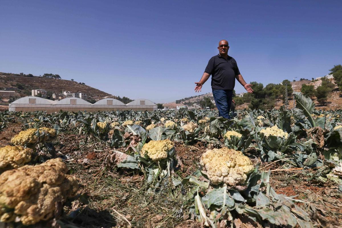 التضييق على المزارعين ساهم في تفاقم الأوضاع الاجتماعية وارتفاع نسب البطالة 