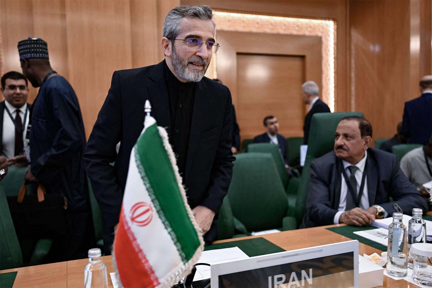 Acting Foreign Minister Ali Bagheri Kani 