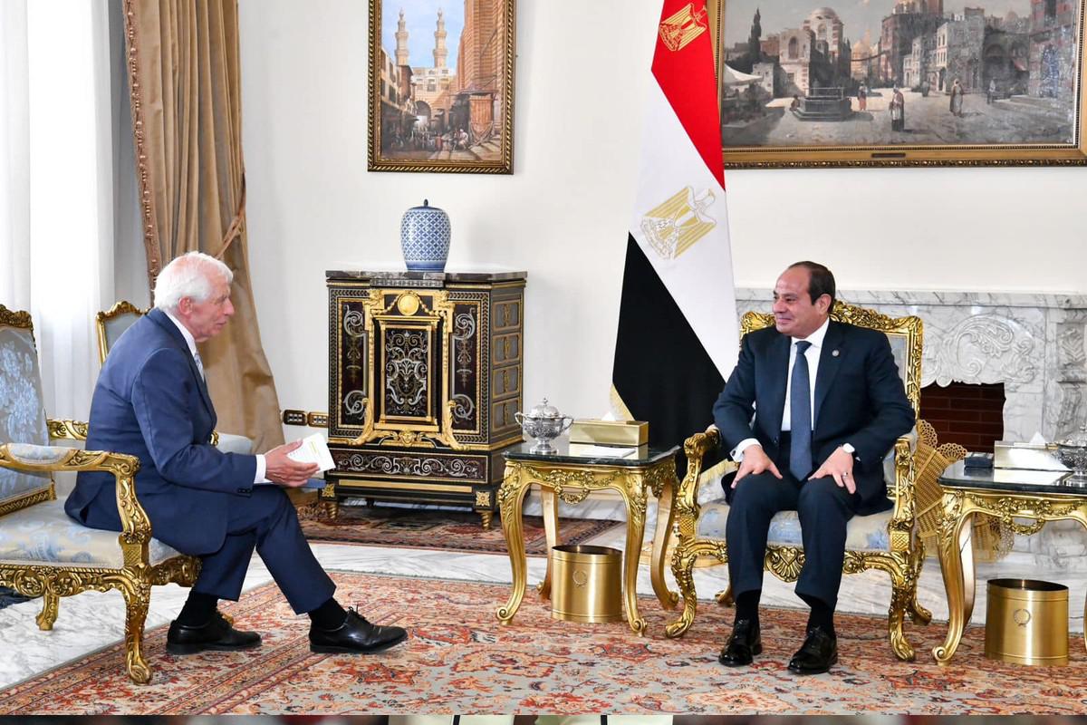 السيسي وشتاينماير يبحثان عديد القضايا 
