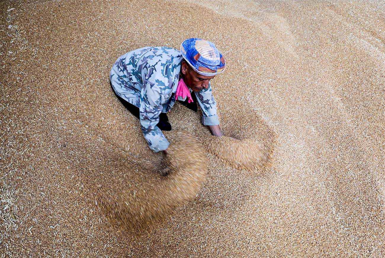 Egypt has explored alternatives including bank loans to purchase wheat 
