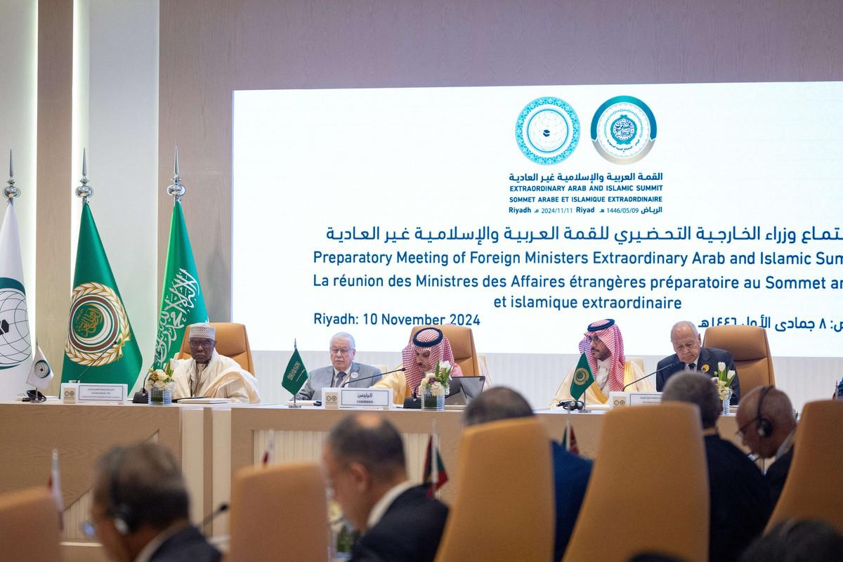 القمة تأتي بعد أسبوع من أول اجتماع للتحالف العالمي لحل الدولتين