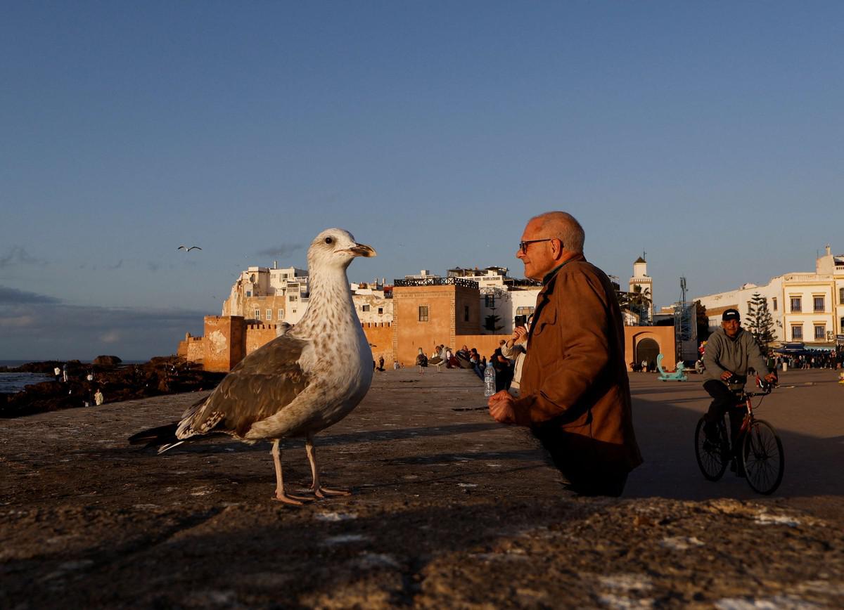 مدينة الصويرة
