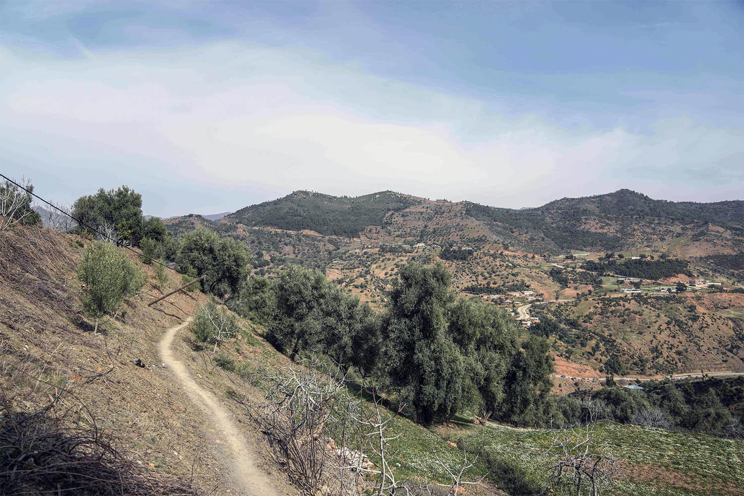 No damage has been reported