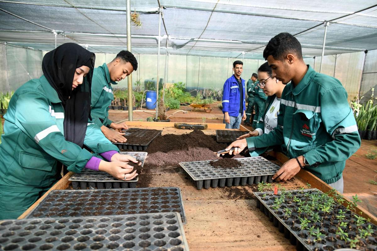 تضرر العاملين في المجال الزراعي بسبب الجفاف من بين عوامل ارتفاع البطالة