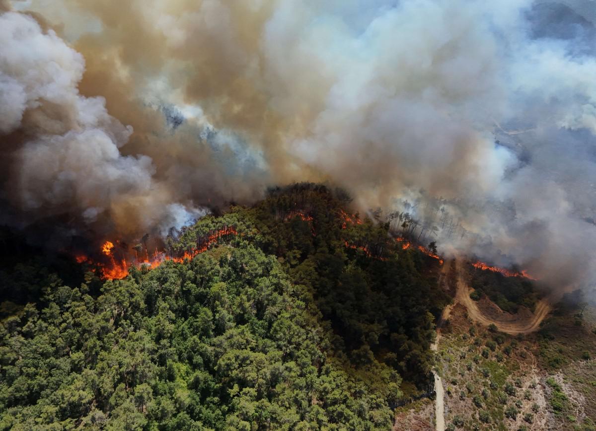 الحرائق أثرت على نحو خمسة آلاف شخص