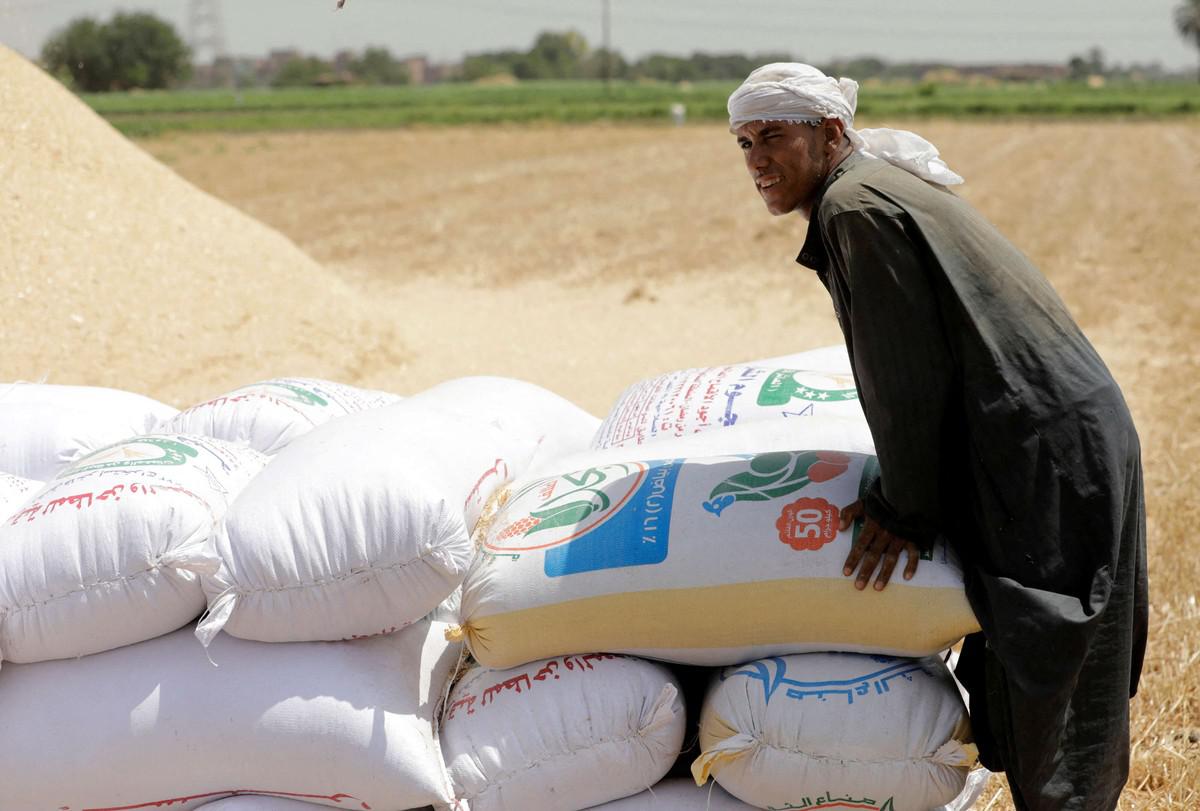 تعزيز الأمن الغذائي يتصدر أولويات الحكومة المصرية 