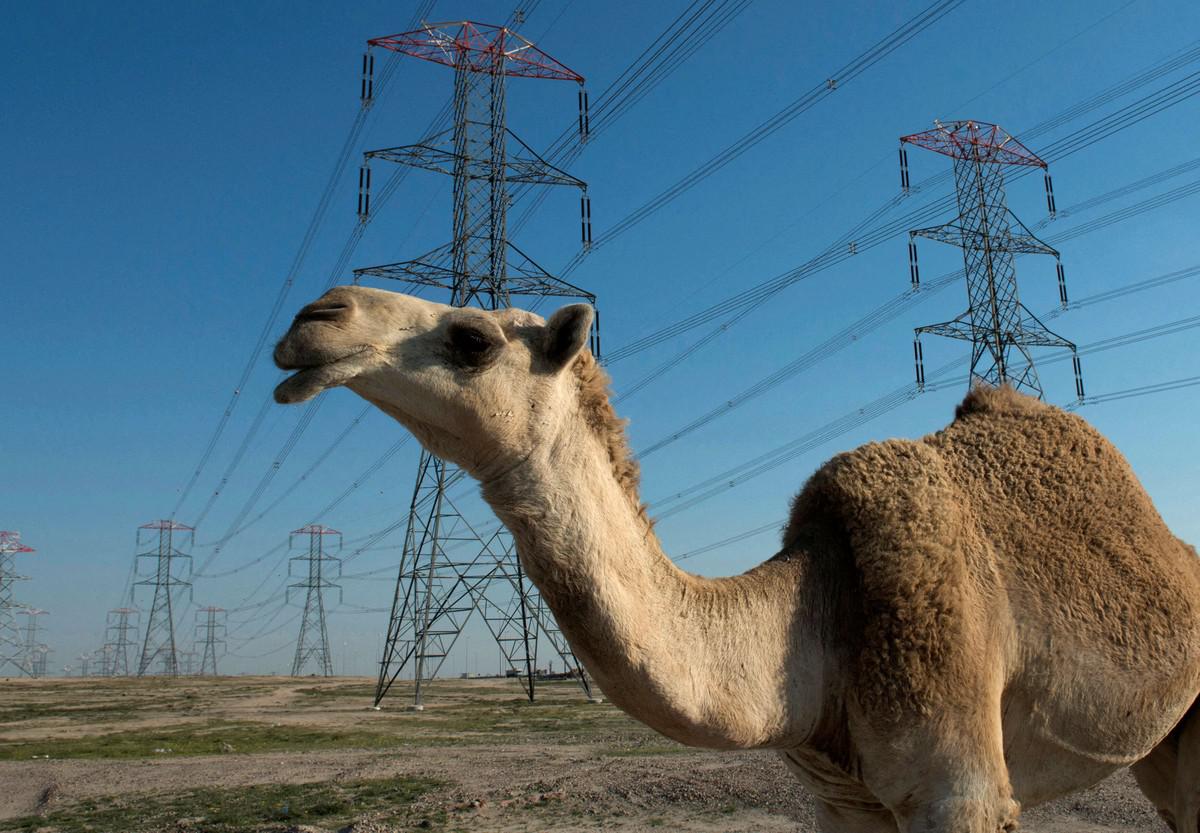 الكويت تعاني أزمة في إنتاج الكهرباء