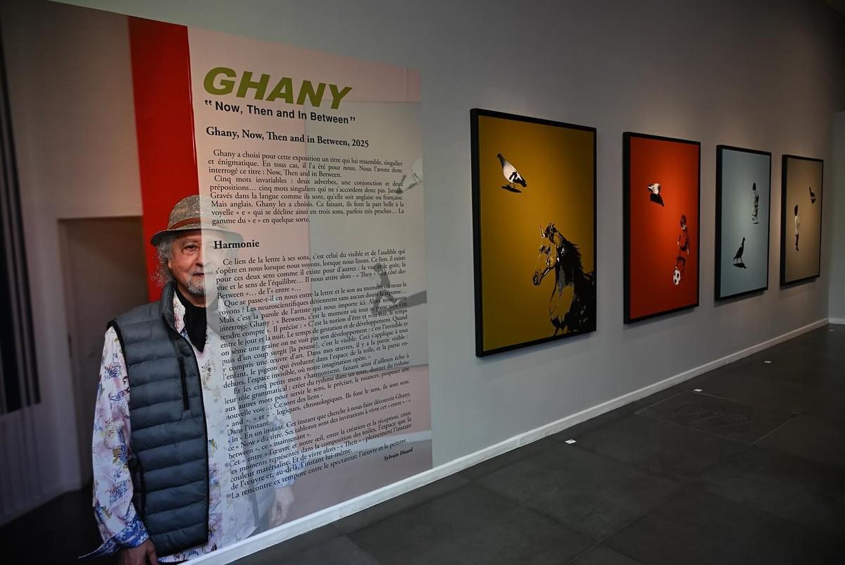 غاني بلمعاشي