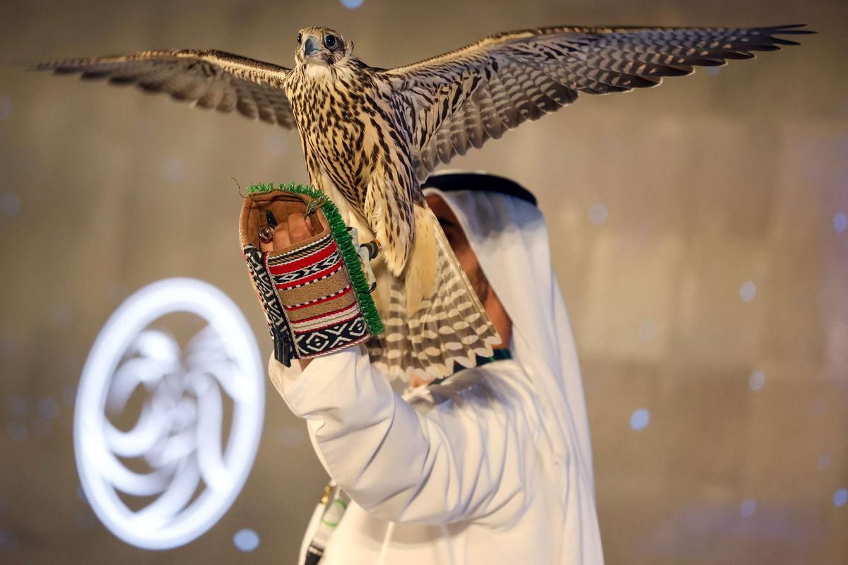 معرض أبوظبي الدولي للصيد والفروسية