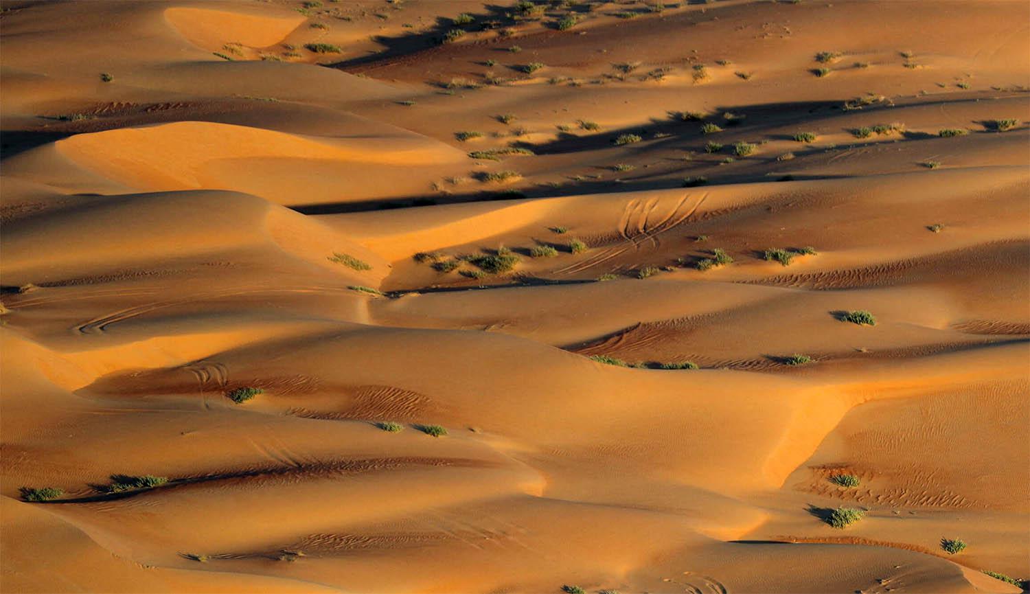 The Empty Quarter in Shubaytah, Saudi Arabia