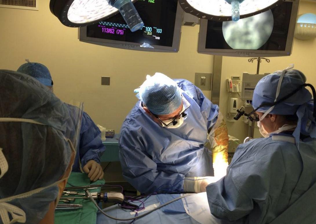 زراعة الكلى