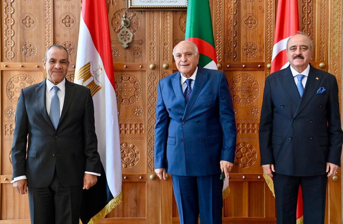 دول الجوار الأكثر مصلحة باستقرار ليبيا 