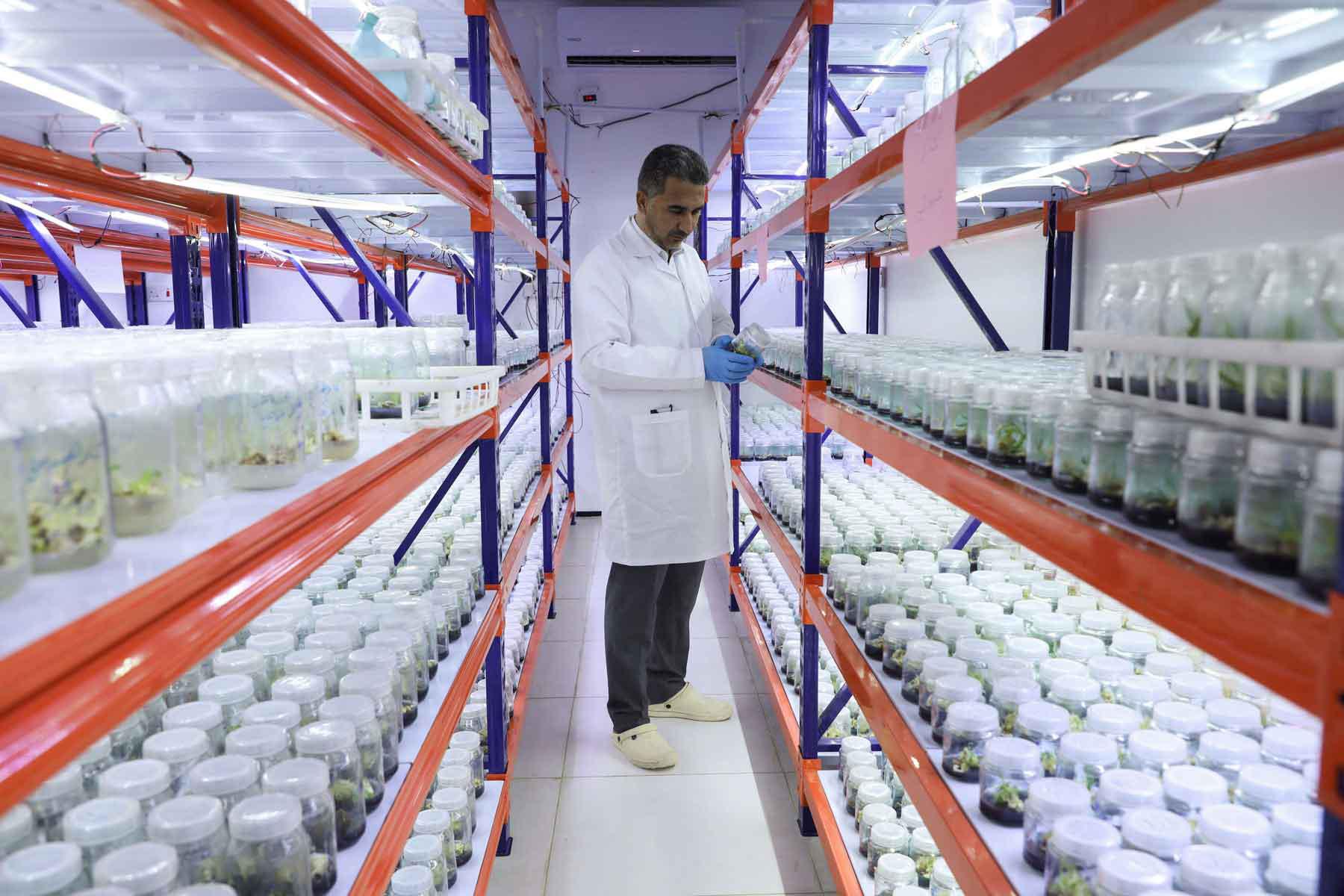 An agriculture that is distinguished by its high production