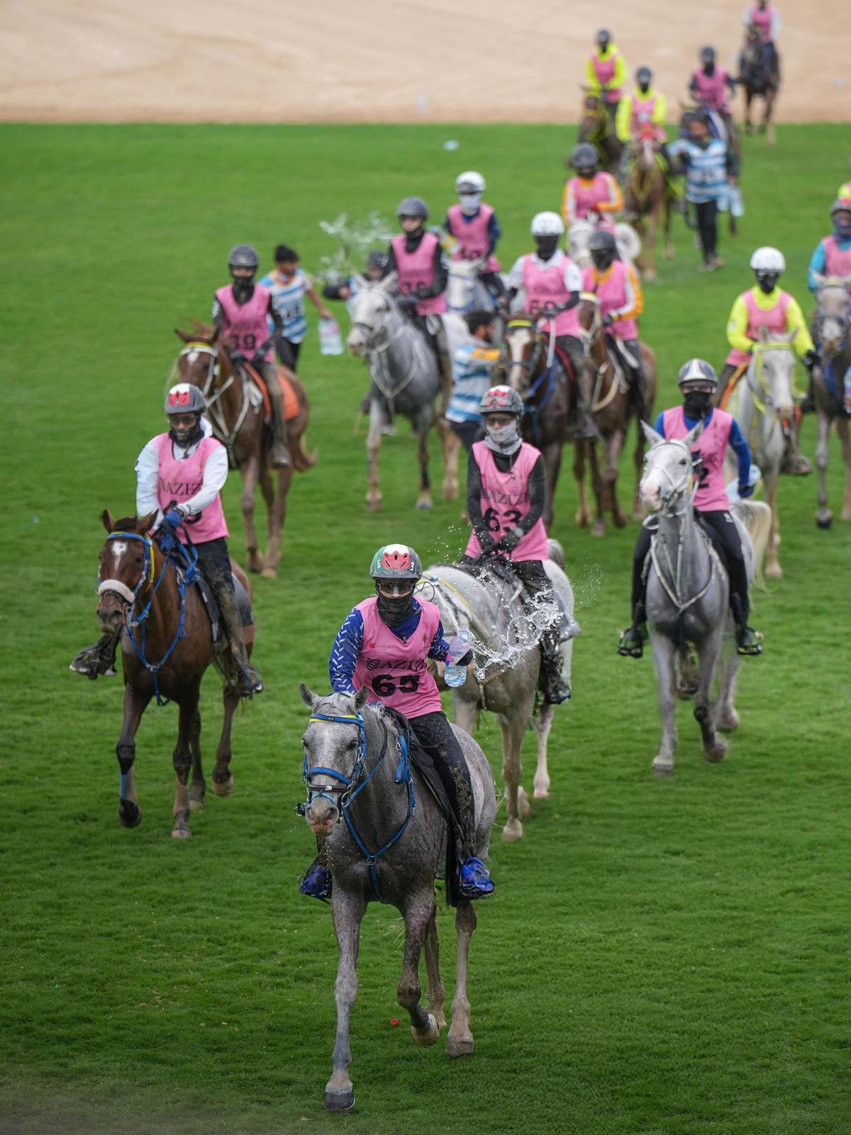 الفروسية تمثل جزءًا أصيلًا من ثقافة وتراث الإمارات