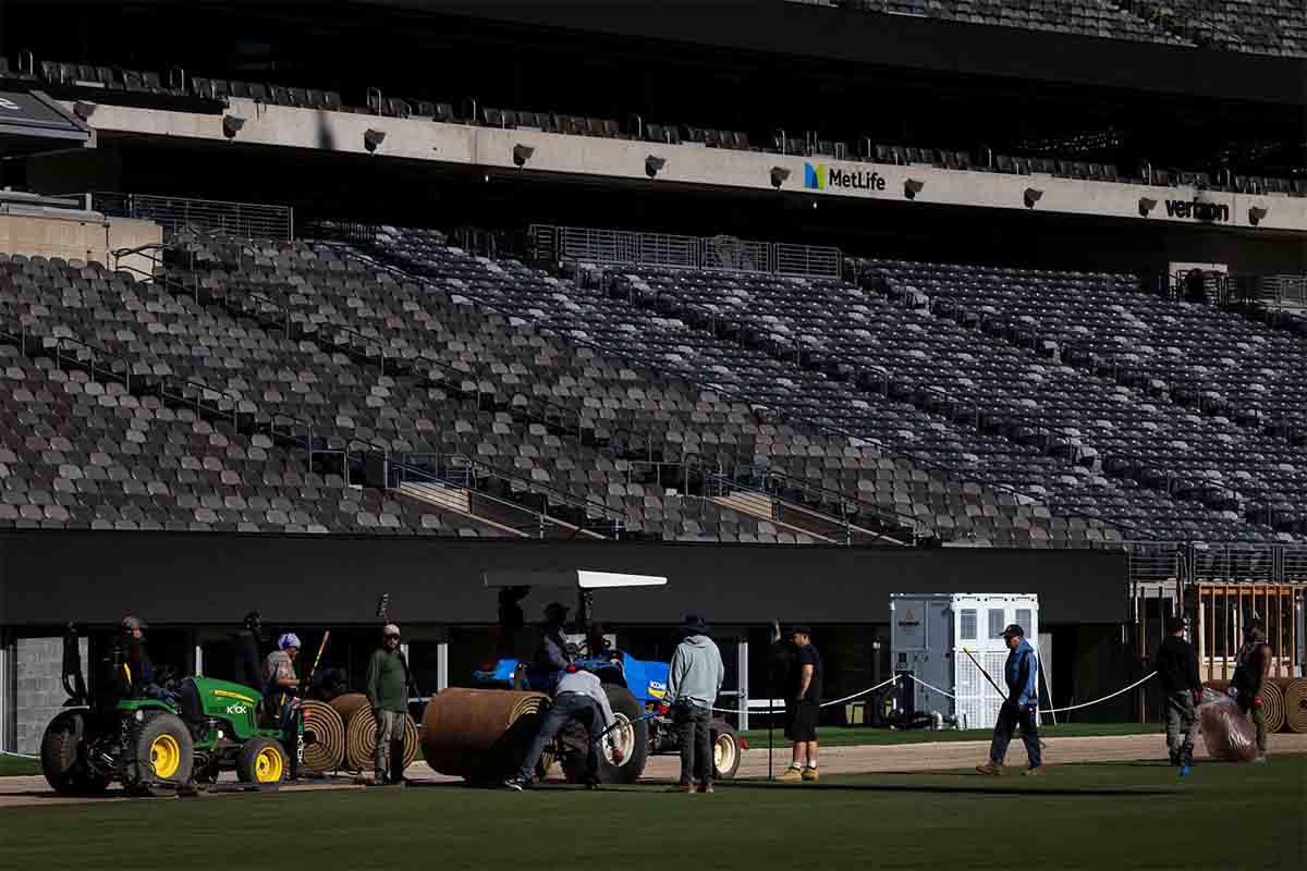 1,000 affordable tickets up for grabs through a lottery system