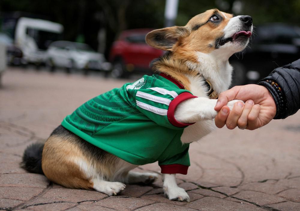 كأس العالم